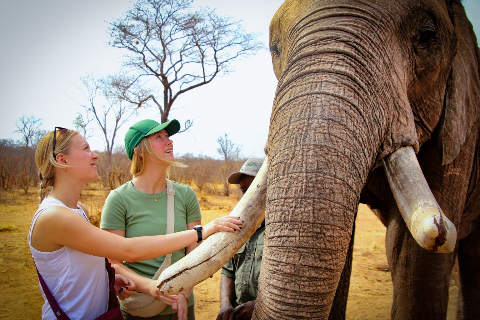 Chikara quads and safari adventure in Victoria Falls