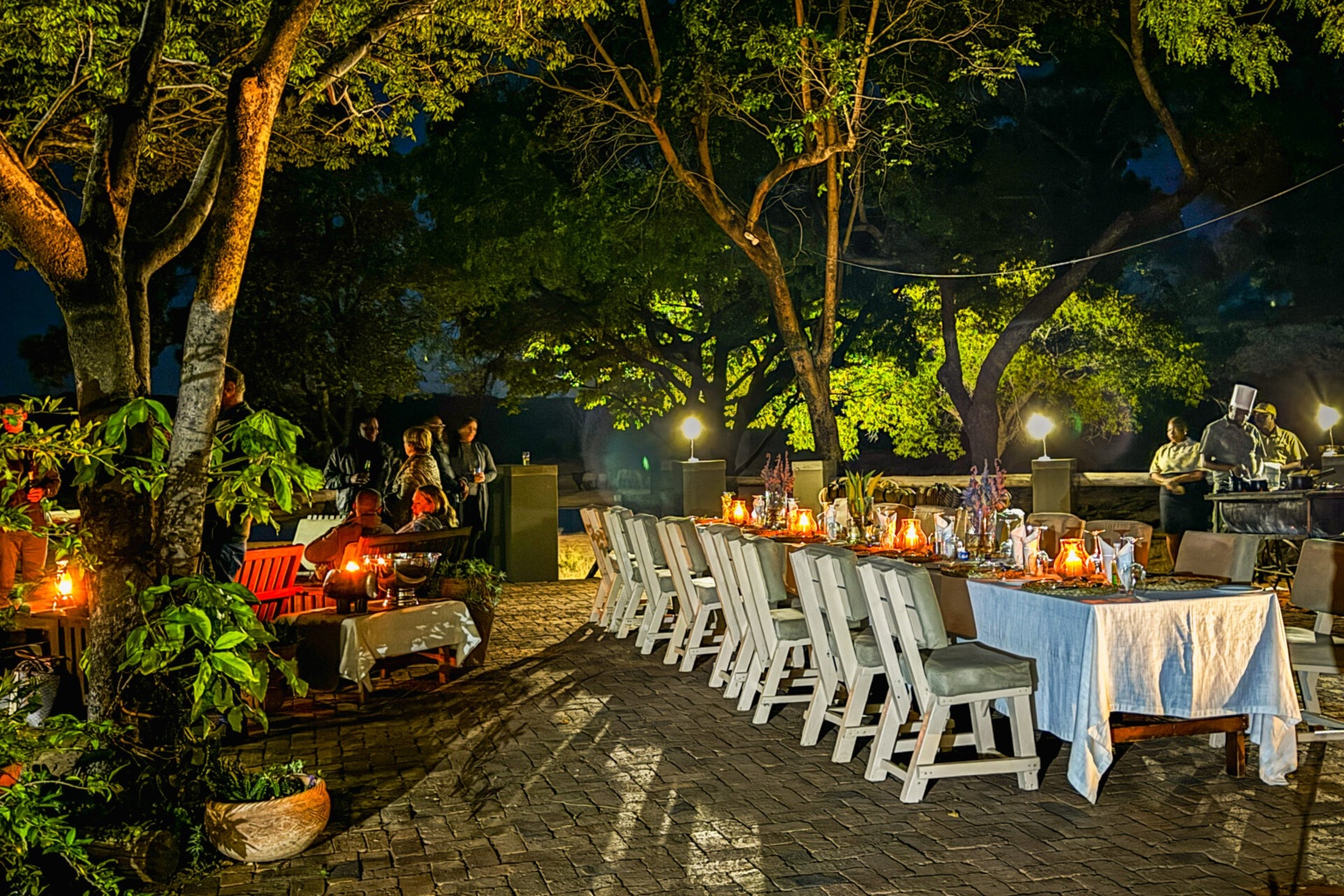 Night Drive & Bush Dinner