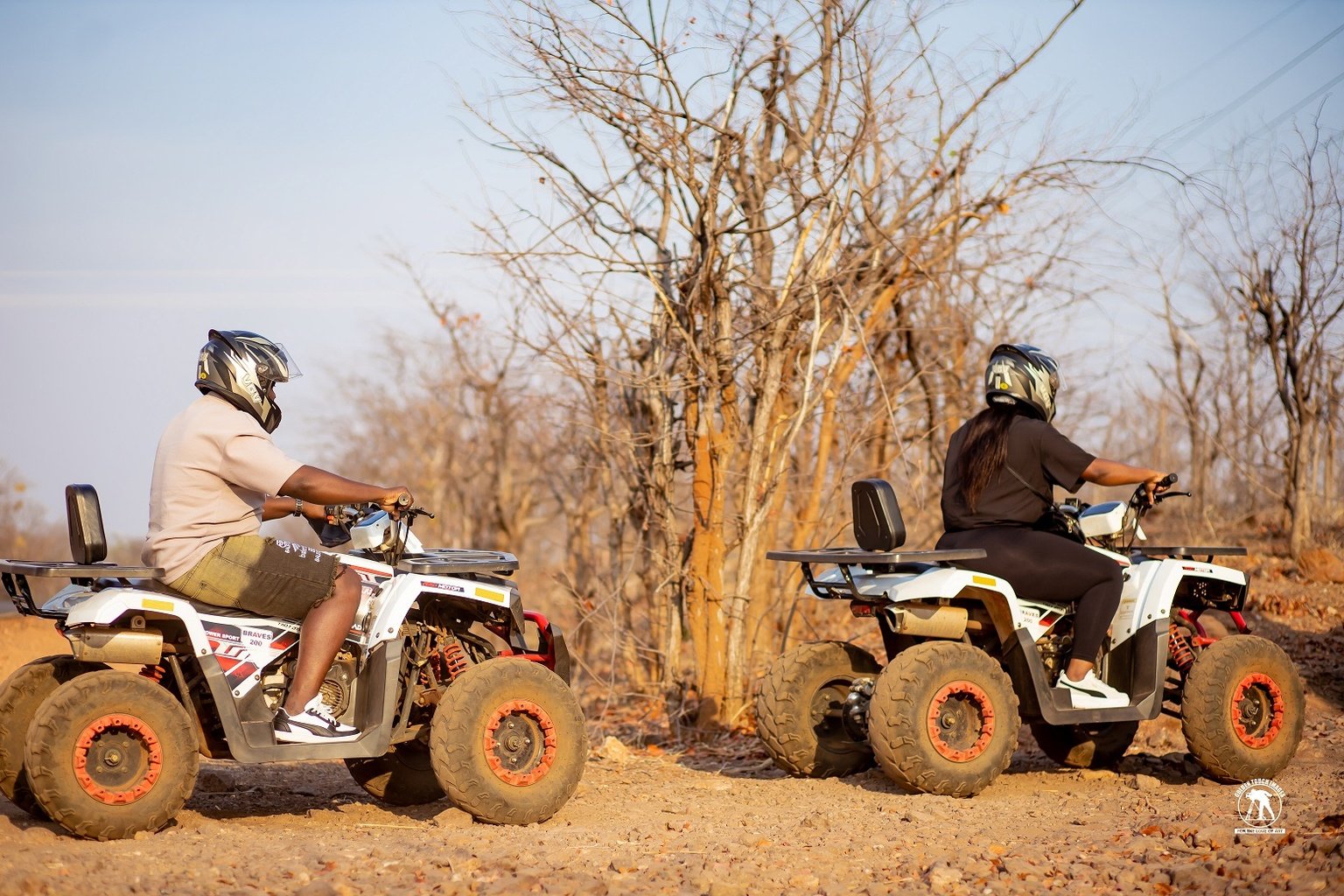 Safari adventure